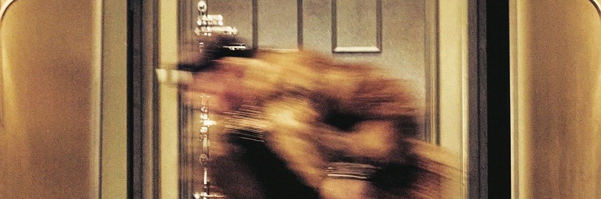 nootnoot banner