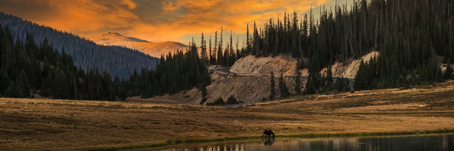 JohnColterrun's profile banner image