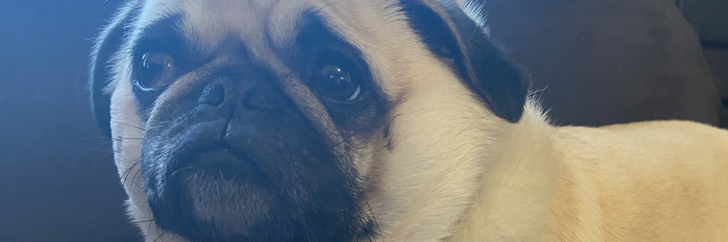 CareBearKoolAid's profile banner image