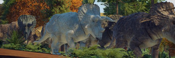 BarbaraSchnarr Profile Banner