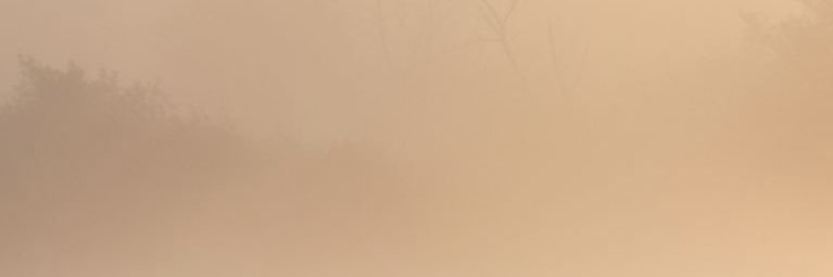 a banner
