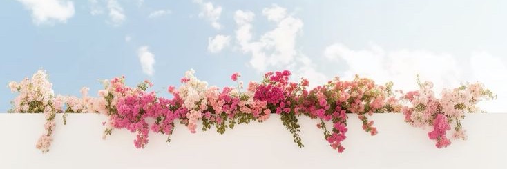 bellamp3x's profile banner image