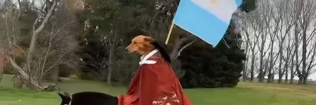 FrannQ6's profile banner image
