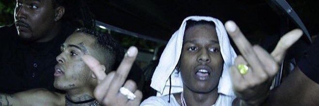 Cat Paws 🐾 banner