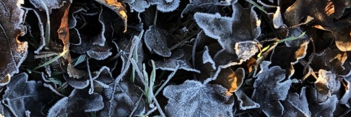 GDU_MUSIC's profile banner image