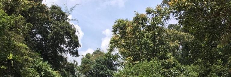 mandaaaap's profile banner image