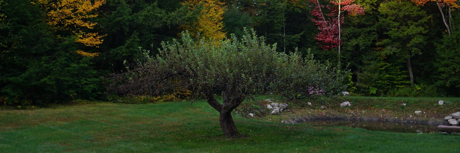 IvoryTowerMan banner