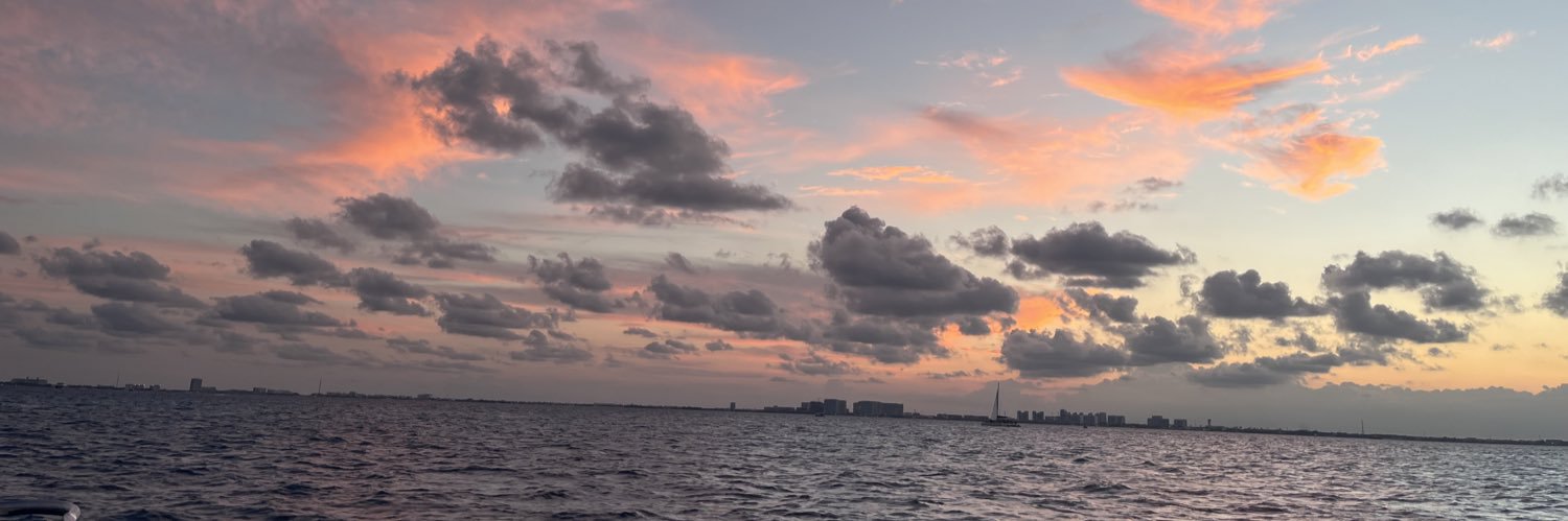 marianafriaas's profile banner image