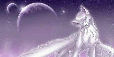 silverwolf1520's profile banner image