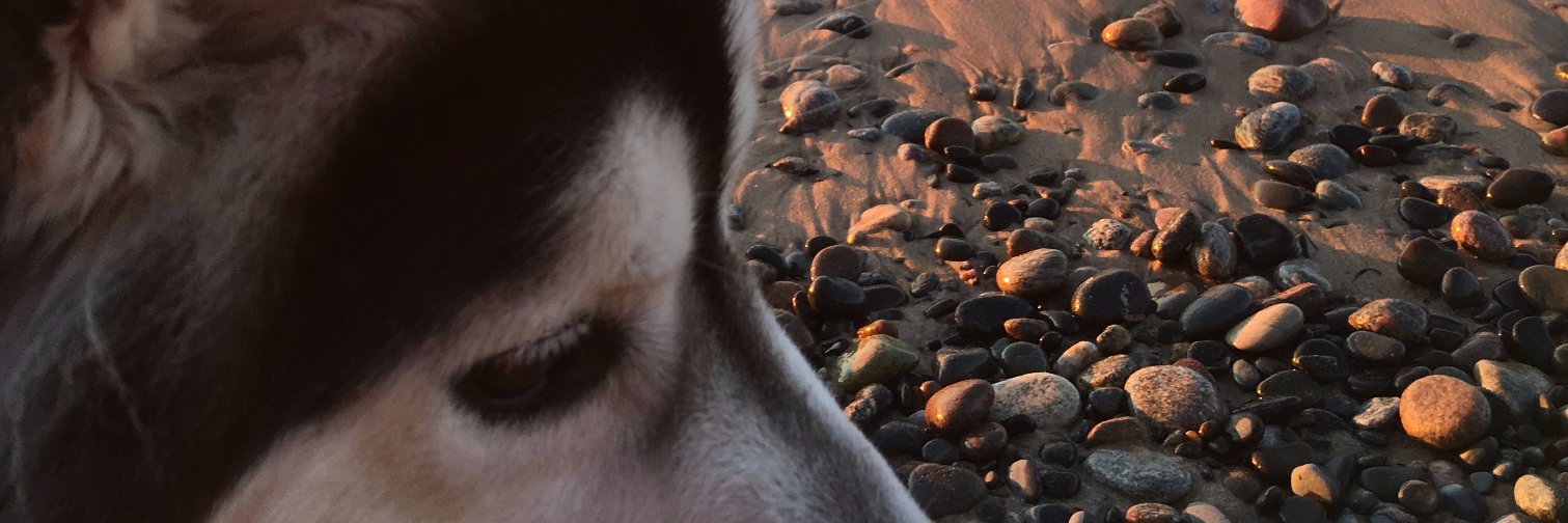 flydave's profile banner image
