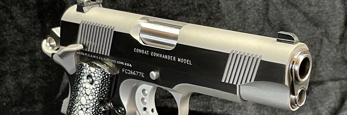 Salty Gunsmith banner