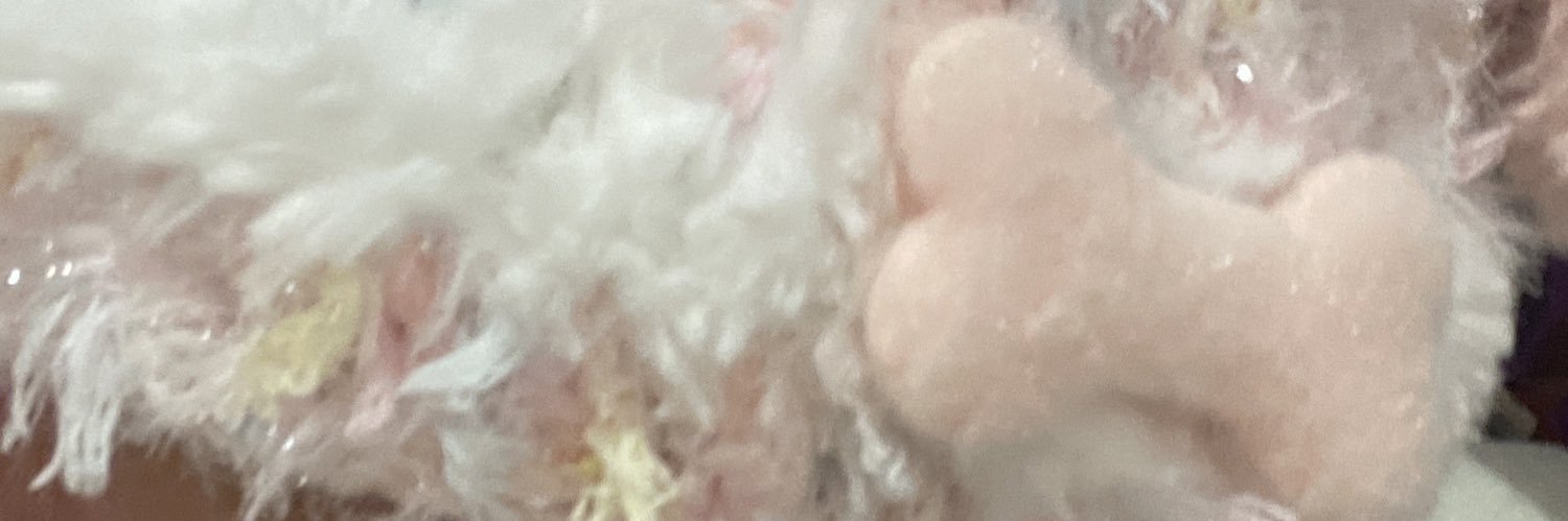 ᡣ𐭩 pups ౨ banner