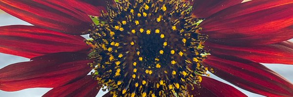 my_warden Profile Banner