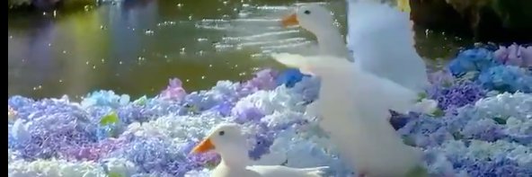 🔞 / Mister Tabbs banner