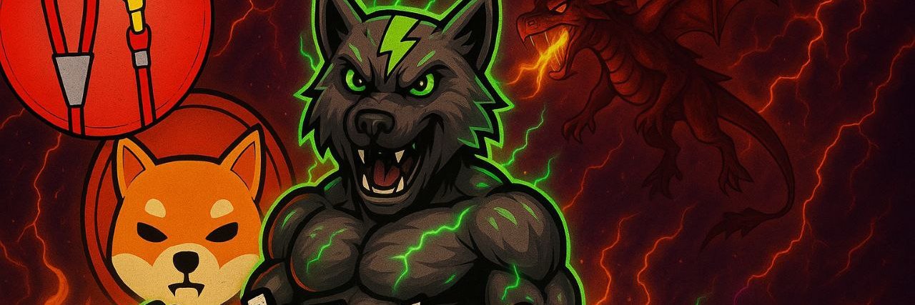shitcoinmaxi222's profile banner image