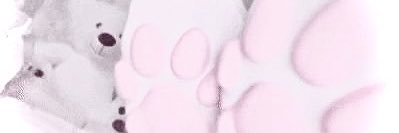 ꫂ᭪ ; ᥣ𝗂𝗍ᥣ α𐓣𝗀𝖾ᥣ ᯠྀི 𓇮 ᯄ banner