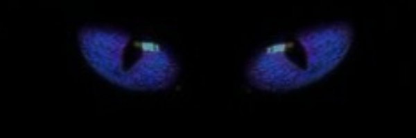 ammar88107 Profile Banner