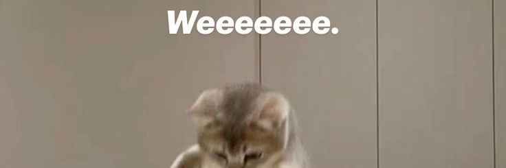 Hi, Im FavChooo banner