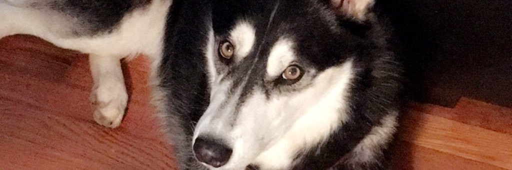 clo1128's profile banner image