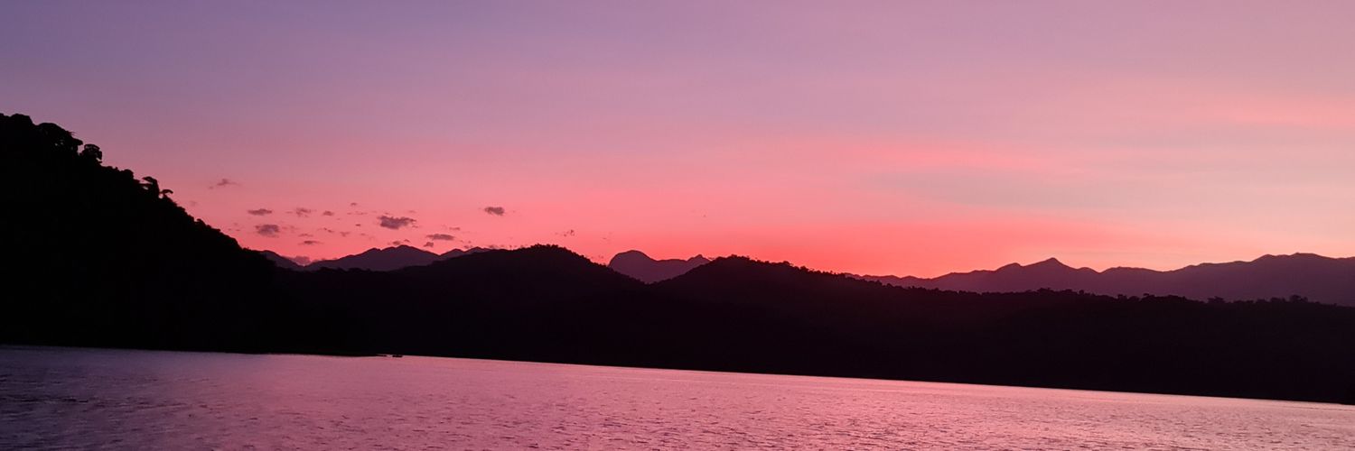 rosaelavanda's profile banner image