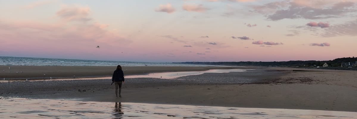 Adriana Arregui banner