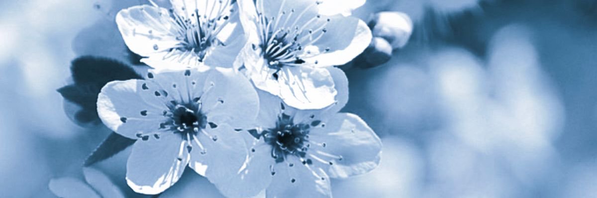 tvdaydream's profile banner image