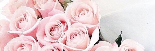 Iquelopacho's profile banner image