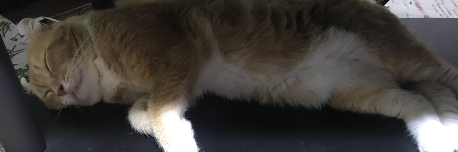ponsama1225's profile banner image