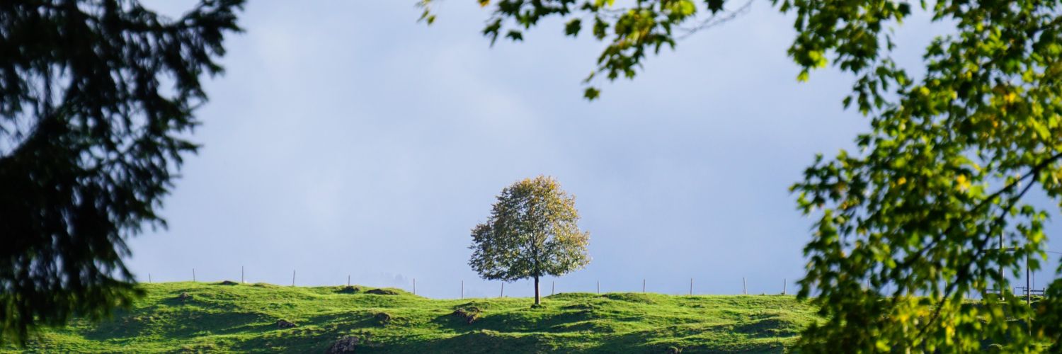 _markgaffney's profile banner image