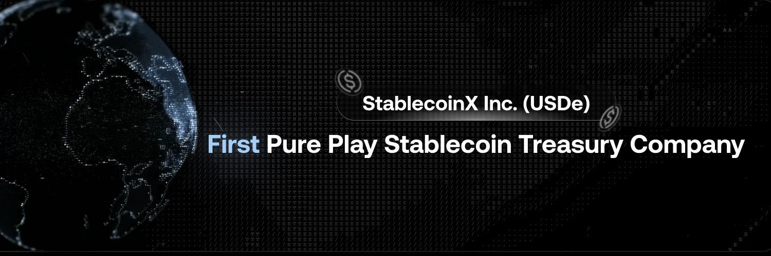 StablecoinX's banner