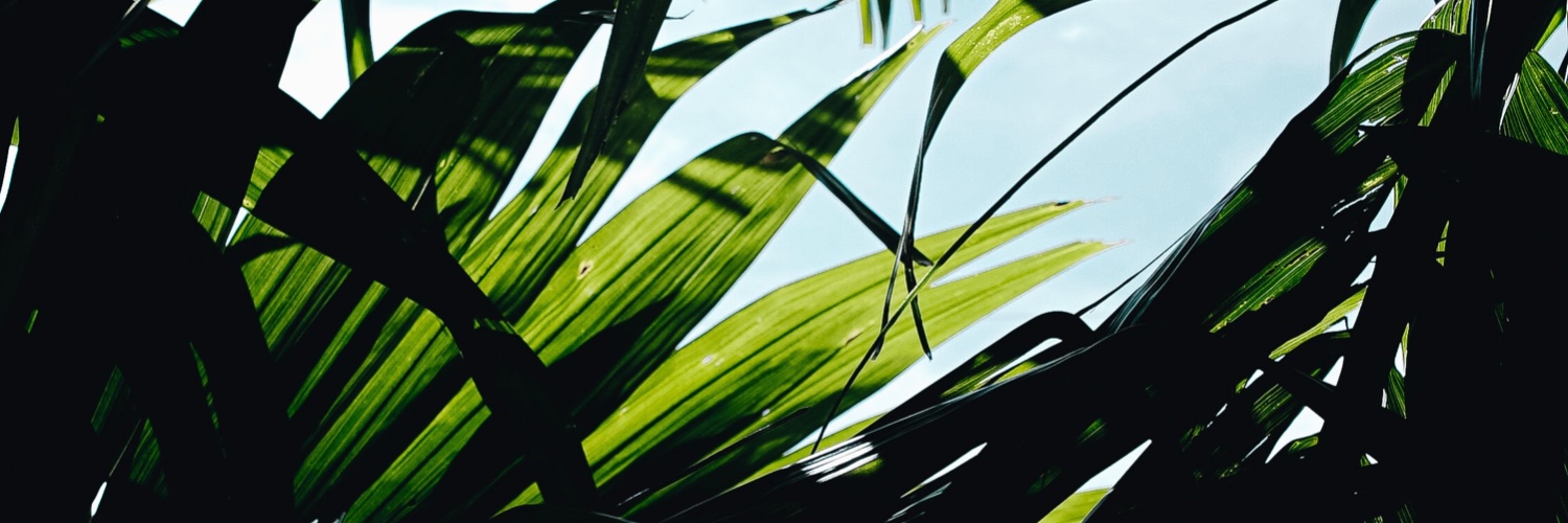 aartitandon's profile banner image