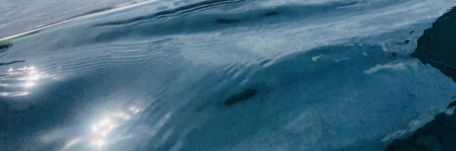 phoebegrannonx's profile banner image