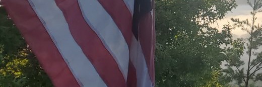 CrippledFren's banner