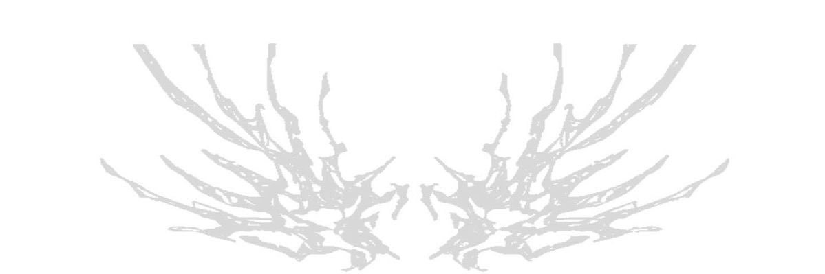 𝔱𝔢𝔪 ✭ banner