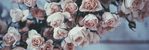 Briguette_Ch's profile banner image