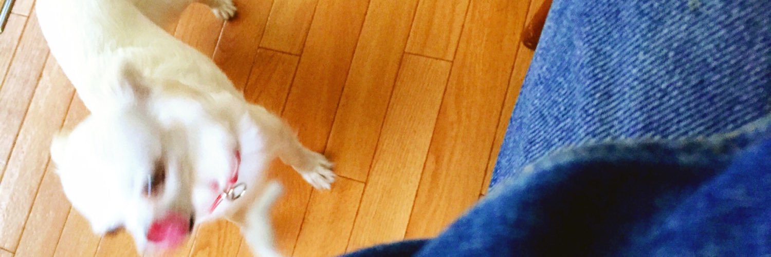 myrn1216's profile banner image