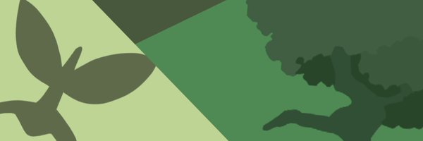 Tomas229Ch Profile Banner