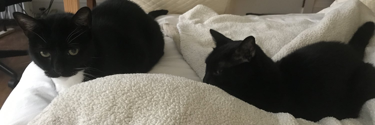 Fran 🙋🏻‍♀️🐈‍⬛🐈‍⬛😁✡️ banner