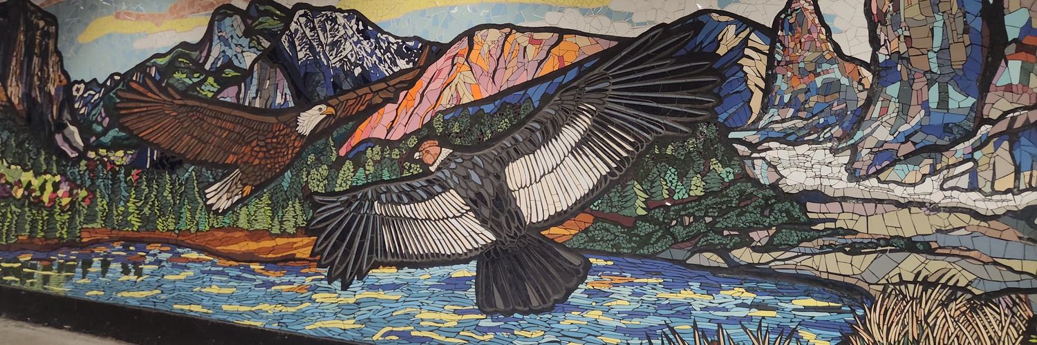 Sebastian Kuntur 🦅 banner