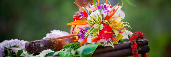 katcalbes Profile Banner