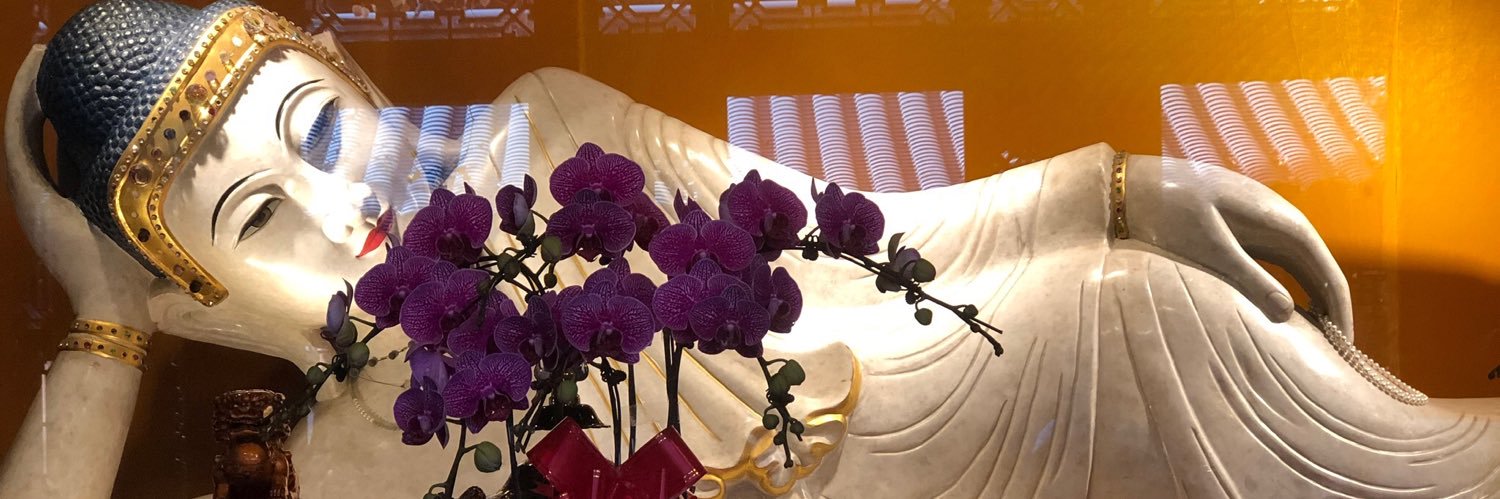 lux57's profile banner image