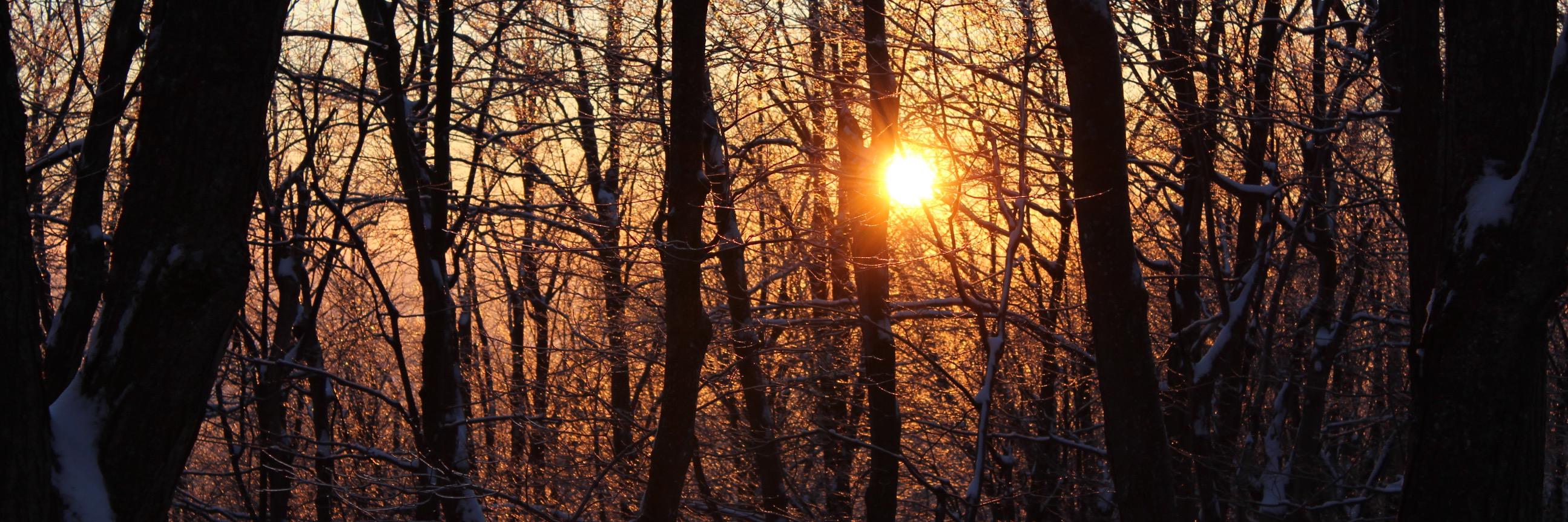 Stephen Couchman banner