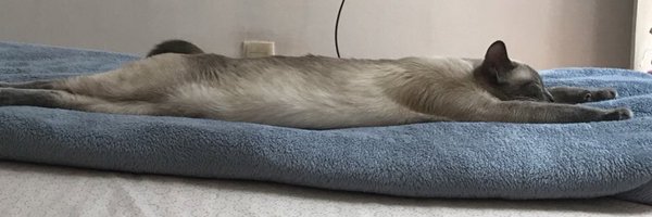 makidarkk Profile Banner