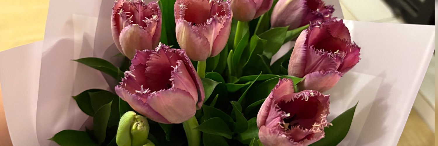 SoyMariane's profile banner image