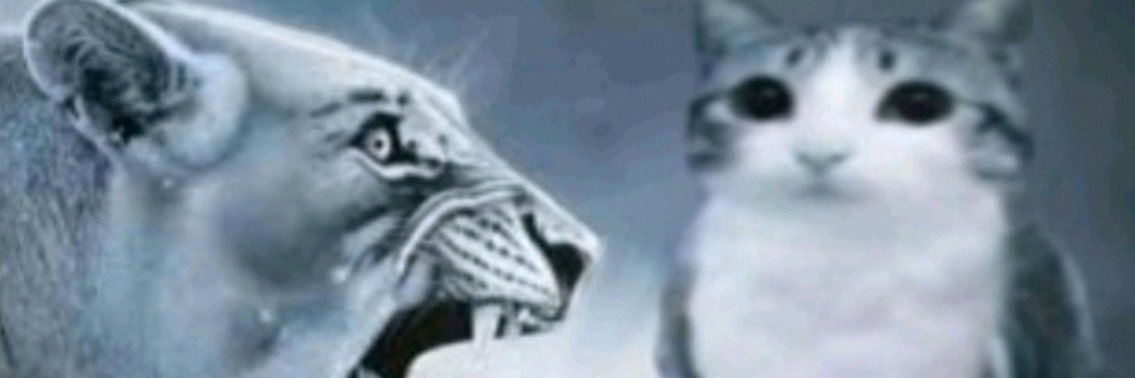 arumimaitemasu's profile banner image