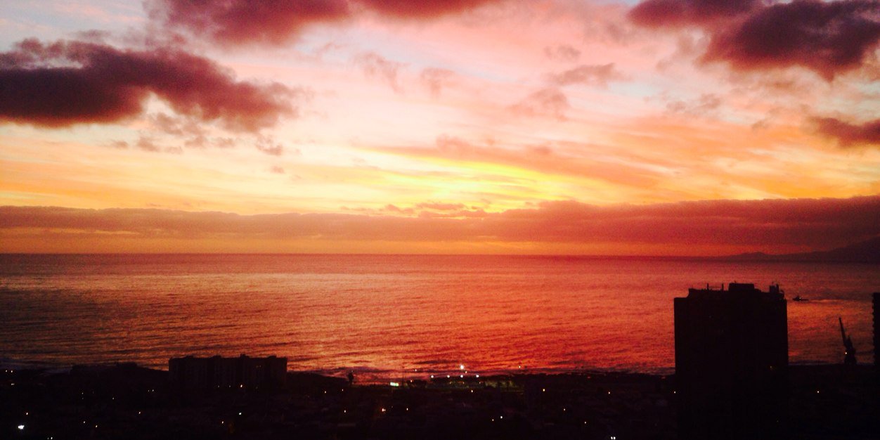 palomapazps's profile banner image