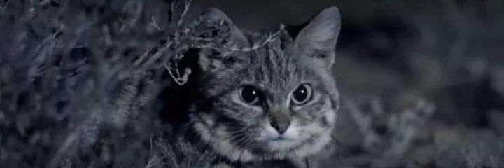 jacttre's profile banner image
