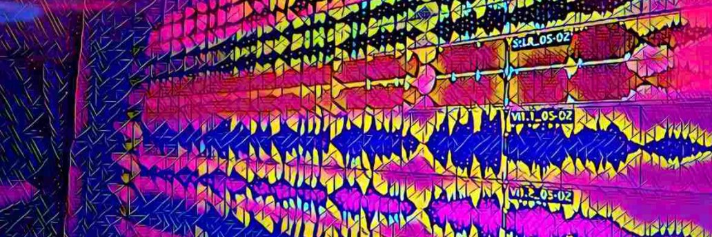 Roger Svensson banner