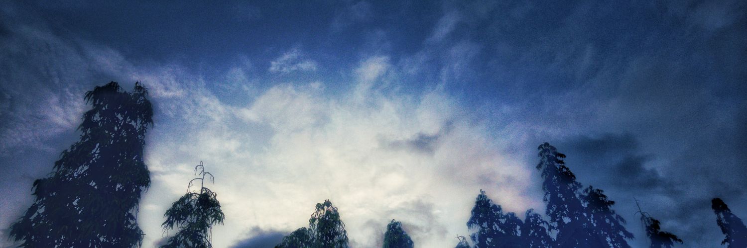 flipland's profile banner image