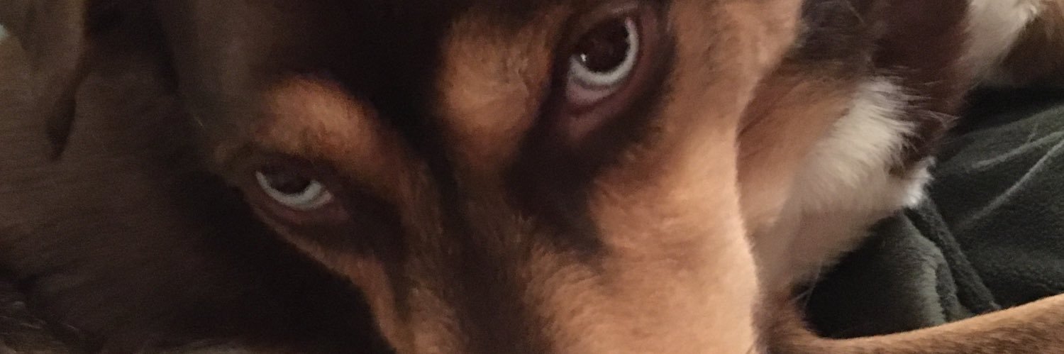 JSterba's profile banner image